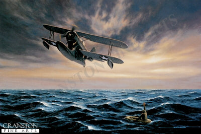 Duck Soup  by Stan Stokes. (B)