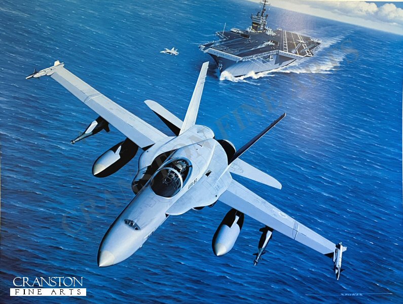 Flight for Freedom  by Stan Stokes.