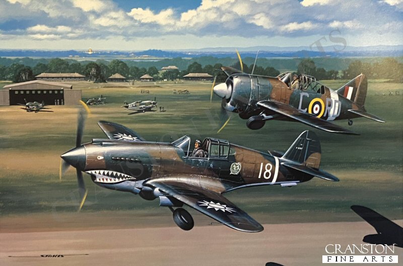 Flying Tigers and Buffalos by Stan Stokes.