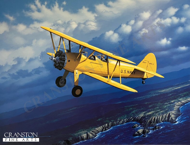 Stearman Lesson on the Wing by Stan Stokes.