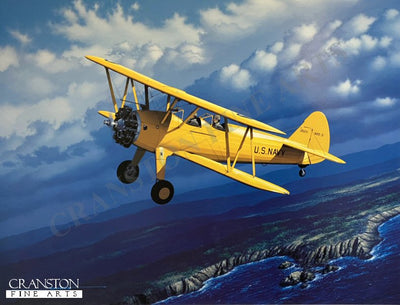 Stearman Lesson on the Wing by Stan Stokes.
