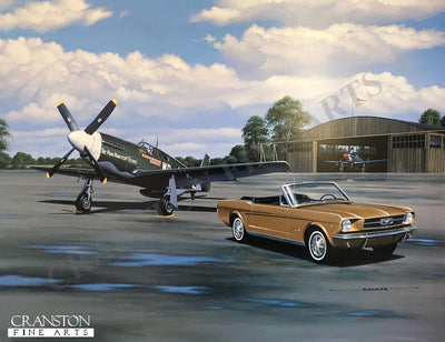Vintage Mustangs by Stan Stokes. (GS)
