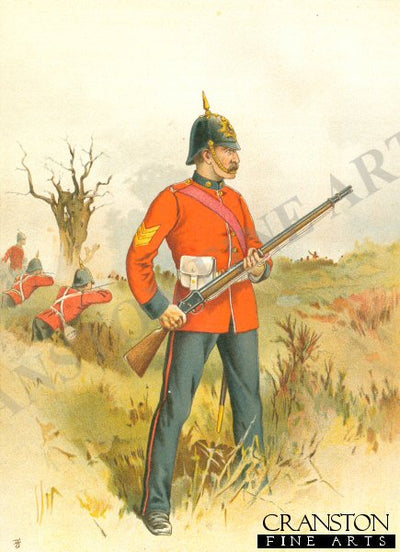 The 35th Royal Sussex by Frank Feller (P)