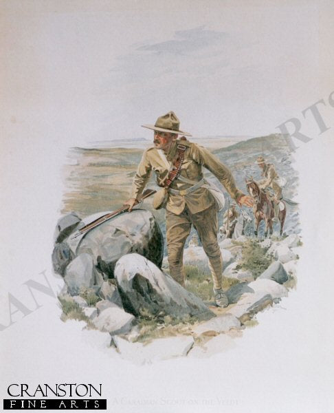 Canadian Scout of the Veldt after William Barnes Wollen (P)
