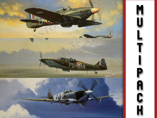 Selection of 3 RAF Fighter Aviation Prints by Barry Price [Multipack]