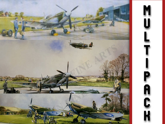 Selection of 3 Spitfire Prints by Bob Murray [Multipack]