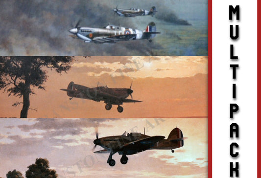 Selection of 3 WW2 Royal Airforce Aviation Prints [Multipack]