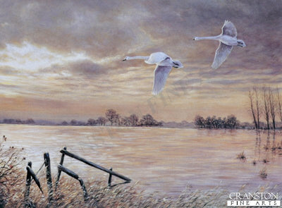 Autumn Flood by Michael Kitchen Hurle