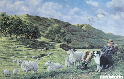 Cheviot Shepherd by Michael Kitchen Hurle
