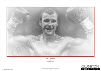 Joe Calzaghe - The Pride of Wales by Stephen Doig.