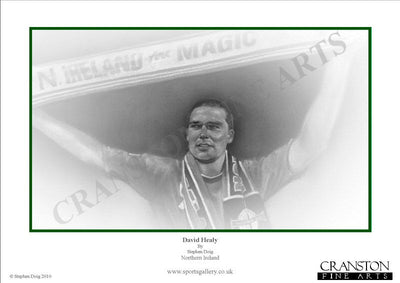 Northern Ireland - David Healy by Stephen Doig.