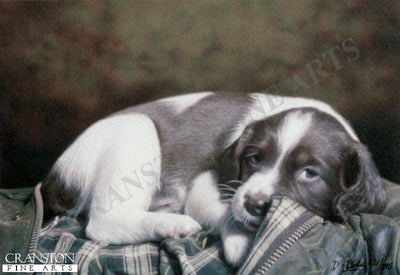 Puppy Eyes by Darren Baker.