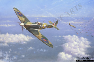 Spitfire Tally-Ho by Geoff Lea.