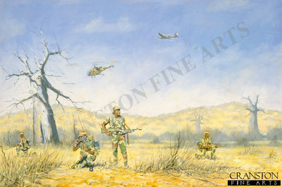 RAR Fireforce 1979 by John Wynne Hopkins.