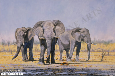Nyamandhlovu by John Wynne Hopkins.