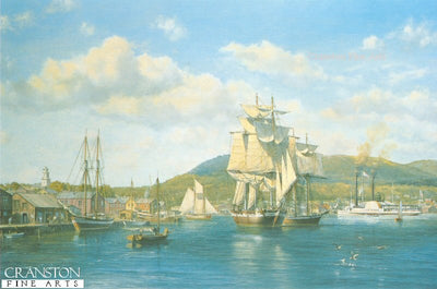 Aurelia at Camden Maine by Roy Cross.