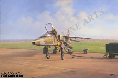 Jaguar Flight Test On by Geoff Lea.