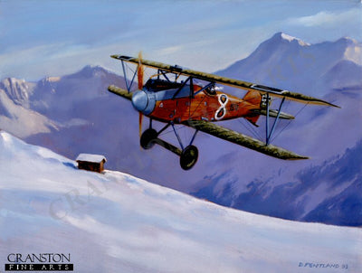 Christmas Kiss - Albatros DV by David Pentland.