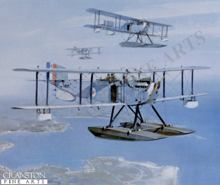 Fairey IIID by Michael Turner.