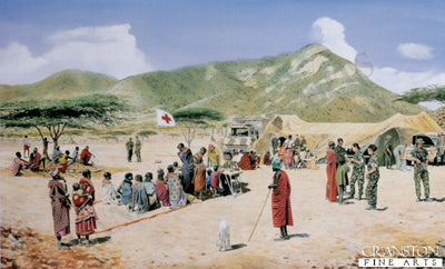 Medics in Africa by David Rowlands.