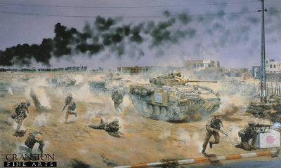 Light Infantry in Iraq by David Rowlands.