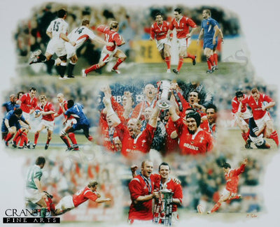 The Perfect Year - Wales Grand Slam Champions 2005 by Darren Baker.