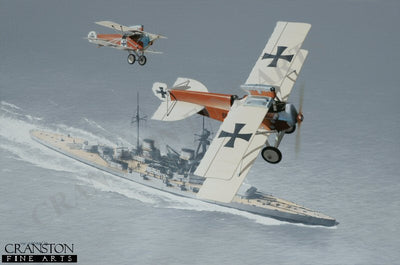 Brandenburg D.1 by Ivan Berryman.