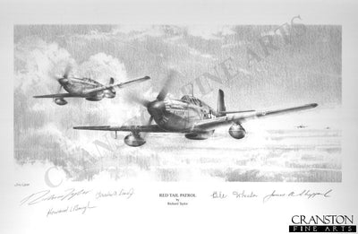 Red Tail Patrol by Richard Taylor.