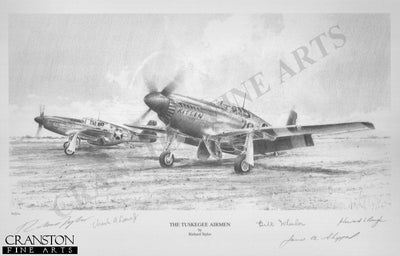 The Tuskegee Airmen by Richard Taylor.