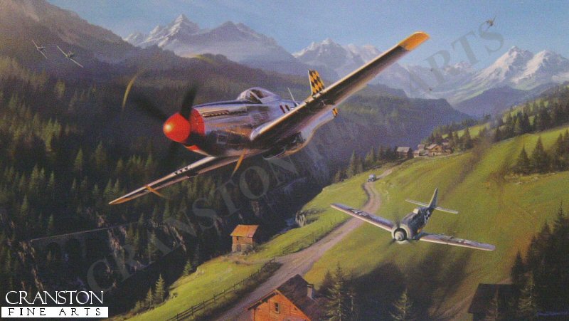 This Week's Nicolas Trudgian Special Offer - Checkertail Clan