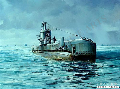 Secret Operation by Robert Taylor.