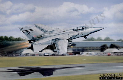Display 25 by Robert Tomlin.