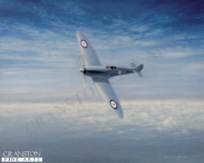 Rhapsody in Blue by Gerald Coulson. (C)