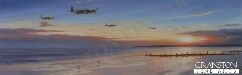 Mosquito Coast by Stephen Brown.