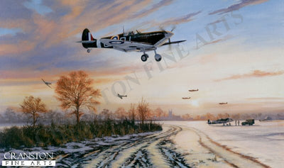 Spitfires Safely Home by Stephen Brown.
