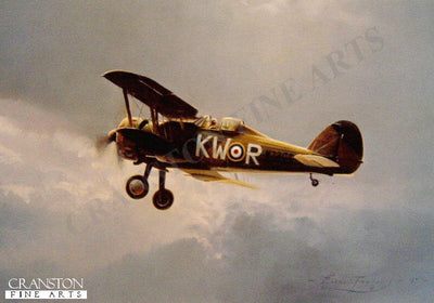 Gloster Gladiator by Robert Taylor.