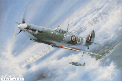 Borrowed Sky by Peter Westacott.