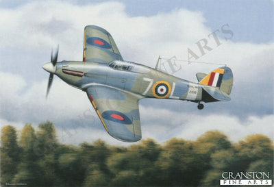 Sea Hurricane by Robert Tomlin.