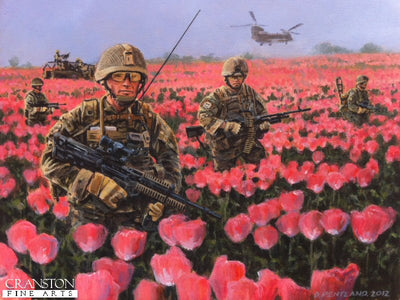 Poppy Fields by David Pentland.