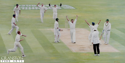 The Vital Wicket by Keith Fearon.