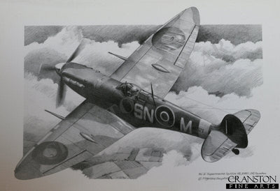 Supermarine Spitfire Mk.VB EN821 of No.243 Sqn by G Henderson.