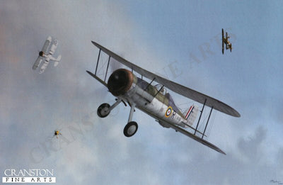Gloster Sea Gladiator by Jerry Boucher.