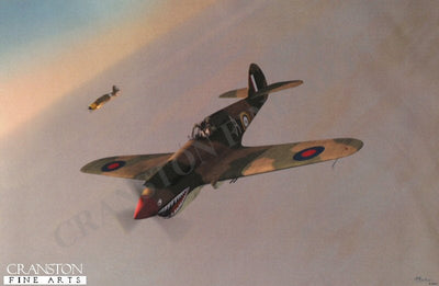 Curtiss Tomahawk IIB by Jerry Boucher.