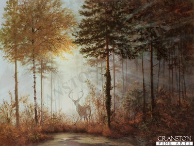 Quiet Forest by Gerald Coulson