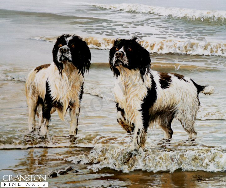 Springers on the Shore by Paul Apps.