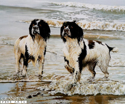 Springers on the Shore by Paul Apps.