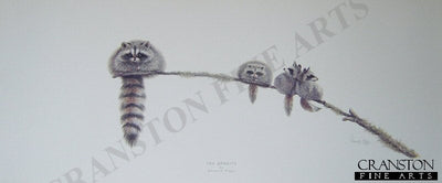 The Bandits by Warwick Higgs.