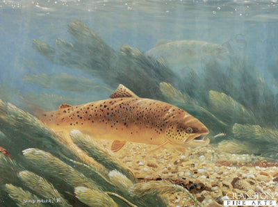 Chalkstream Brownie by David Miller.