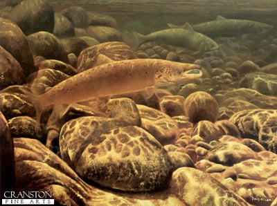 River Spey Salmon by David Miller.