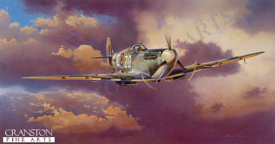Freedom Fighter by Adrian Rigby.
